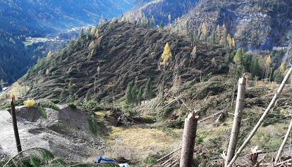 Il Veneto e la furia di Vaia: 12.000 ettari di boschi cancellati dal vento