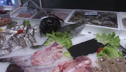 Trenta chili di pesce sequestrato in due ristoranti di Codroipo