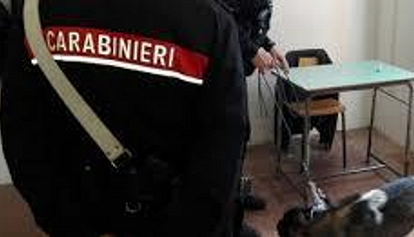 Droga tra i banchi dell'Ipsia Ceconi di Udine, intervengono i carabinieri