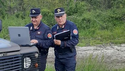 I Carabinieri Forestali di Sepino fermano un taglio non autorizzato