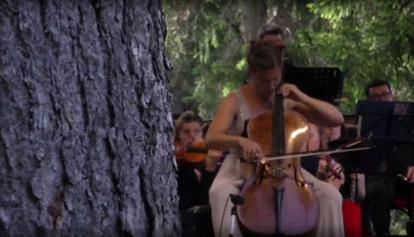 Torna Risonanze, il festival del "legno che suona": presentato il programma