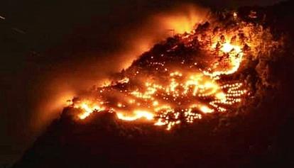 Fennberg: Herz-Jesu-Feuer löst Waldbrand aus 