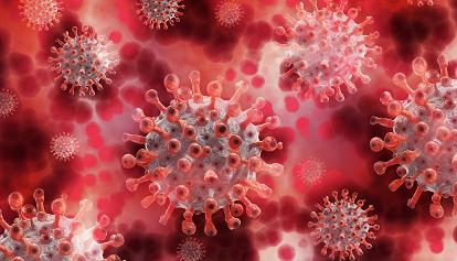 Coronavirus, contagi stabili