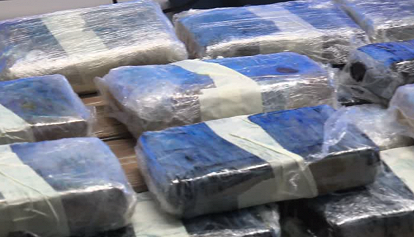 Nove chili di cocaina, sequestro al Porto di Livorno