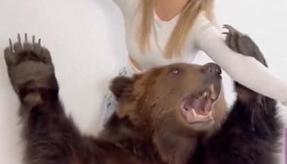 Russia, una famosa blogger porta un orso nel suo appartamento per un video