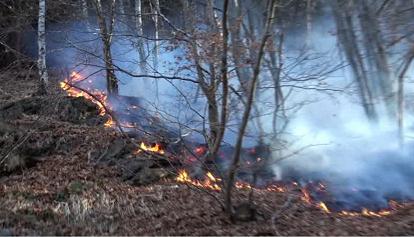 Incendi: focolai attivi in valle Cannobina