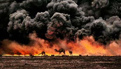 Animali nei teatri di guerra, gli scatti di Steve McCurry