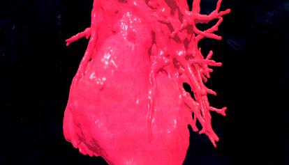 Intervento al cuore in gravidanza: le prove generali su un "gemello digitale" in 3D