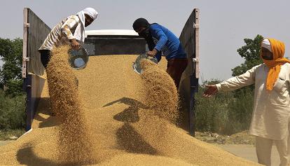 L'lndia blocca l'esportazione del grano
