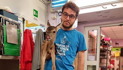 500 animali da curare, emergenza al CANC di Grugliasco