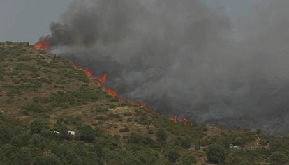Incendi, Ispra: nel 2021 bruciato il triplo degli ettari del 2020. Le più colpite Sicilia e Sardegna