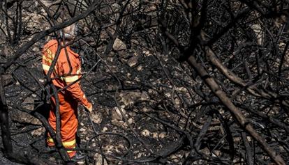 Incendi: confermato lo sciopero dipendenti Forestas
