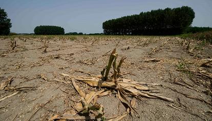 La Lombardia chiede al Governo lo stato di emergenza per la siccità