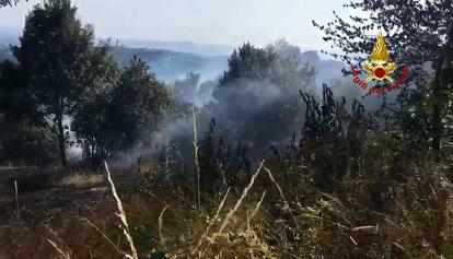 L'Italia brucia, è emergenza incendi. In Friuli nuovo focolaio vicino Trieste