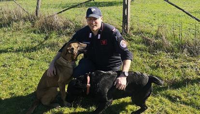 I carabinieri salvano quattro cani lasciati in box al sole. Ora stanno bene