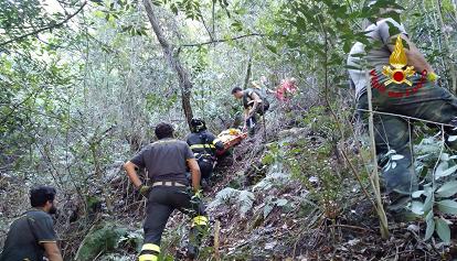 Tre notti in un bosco, un anziano è stato ritrovato vivo in Liguria 