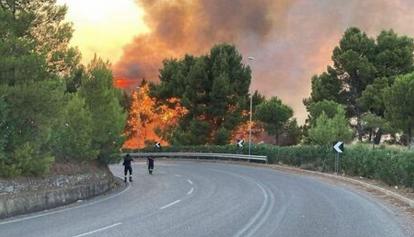 Incendi, sono 3 i fronti che preoccupano in queste ore: nel Materano, in Friuli e ad Ascoli Piceno