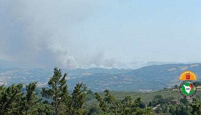 Incendi, non c'è pace in Toscana: evacuato Cinigiano, alle pendici dell'Amiata