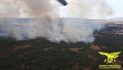 Il fuoco brucia 20 ettari nel Nuorese, in volo 2 Canadair
