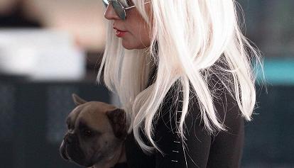 L’uomo che rapì i cani di Lady Gaga condannato a 4 anni: aveva sparato al dog-sitter della cantante 