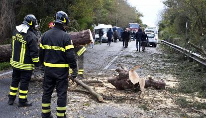 Maltempo: albero si abbatte su un taxi, muore il conducente, illeso passeggero