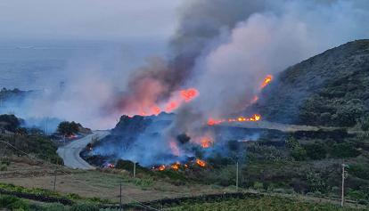 Maxi rogo a Pantelleria: bruciano ettari di vegetazione. Capo protezione civile: "Incendio doloso"