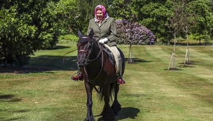 Re Carlo vende dodici cavalli della scuderia di Elisabetta II