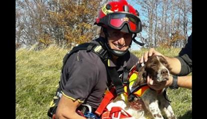 Cane in un dirupo, salvato dai Vigili del fuoco 
