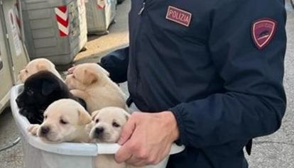 Cuccioli salvati dalla Polizia