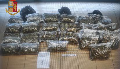 Droga, arrestato 65enne, sequestrati 36 kg di cannabinoidi