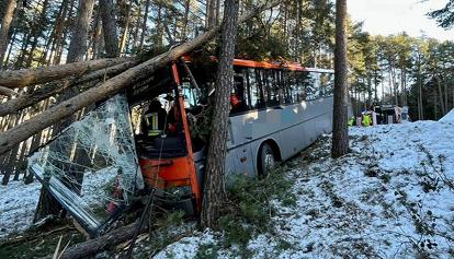 Pauroso incidente in Alto Adige, bus esce di strada e finisce nel bosco: 5 i feriti, nessuno grave