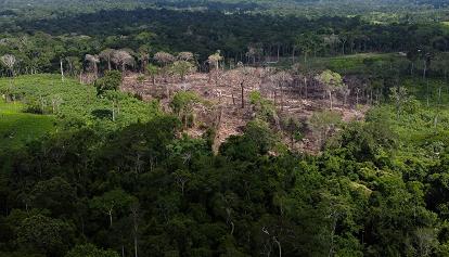 Brasile. Deforestazione Amazzonia aumentata del 150% a dicembre, ultimo mese di Bolsonaro