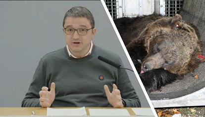 Il partito animalista europeo presenta un'altra querela contro Fugatti