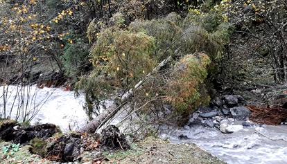 Maltempo in Trentino, emergenza rientrata, circa 5 milioni di danni
