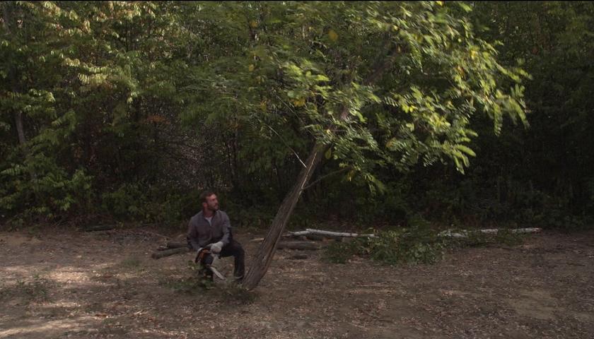 Un uomo abbatte un albero
