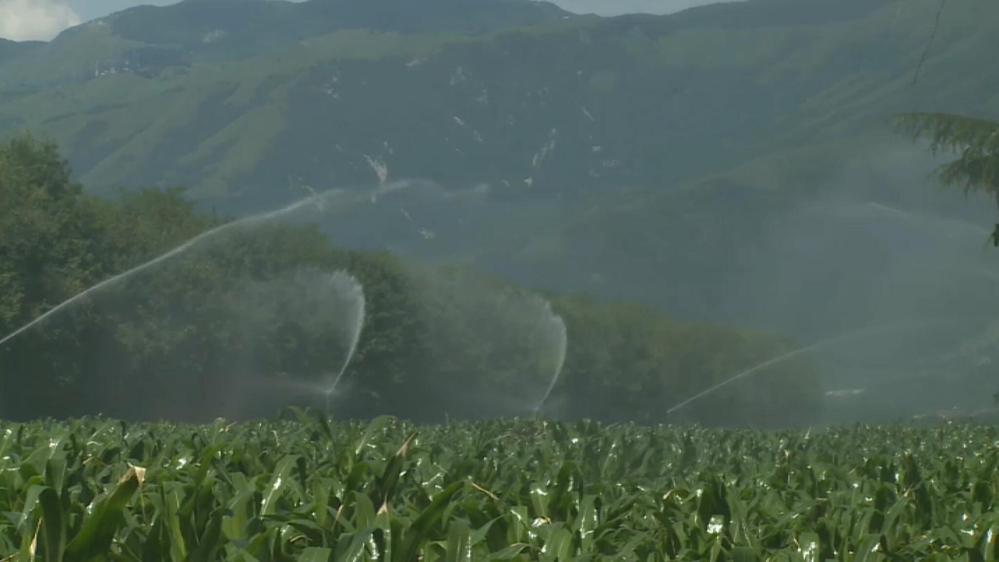 Poche piogge, si confida nelle precipitazioni di maggio