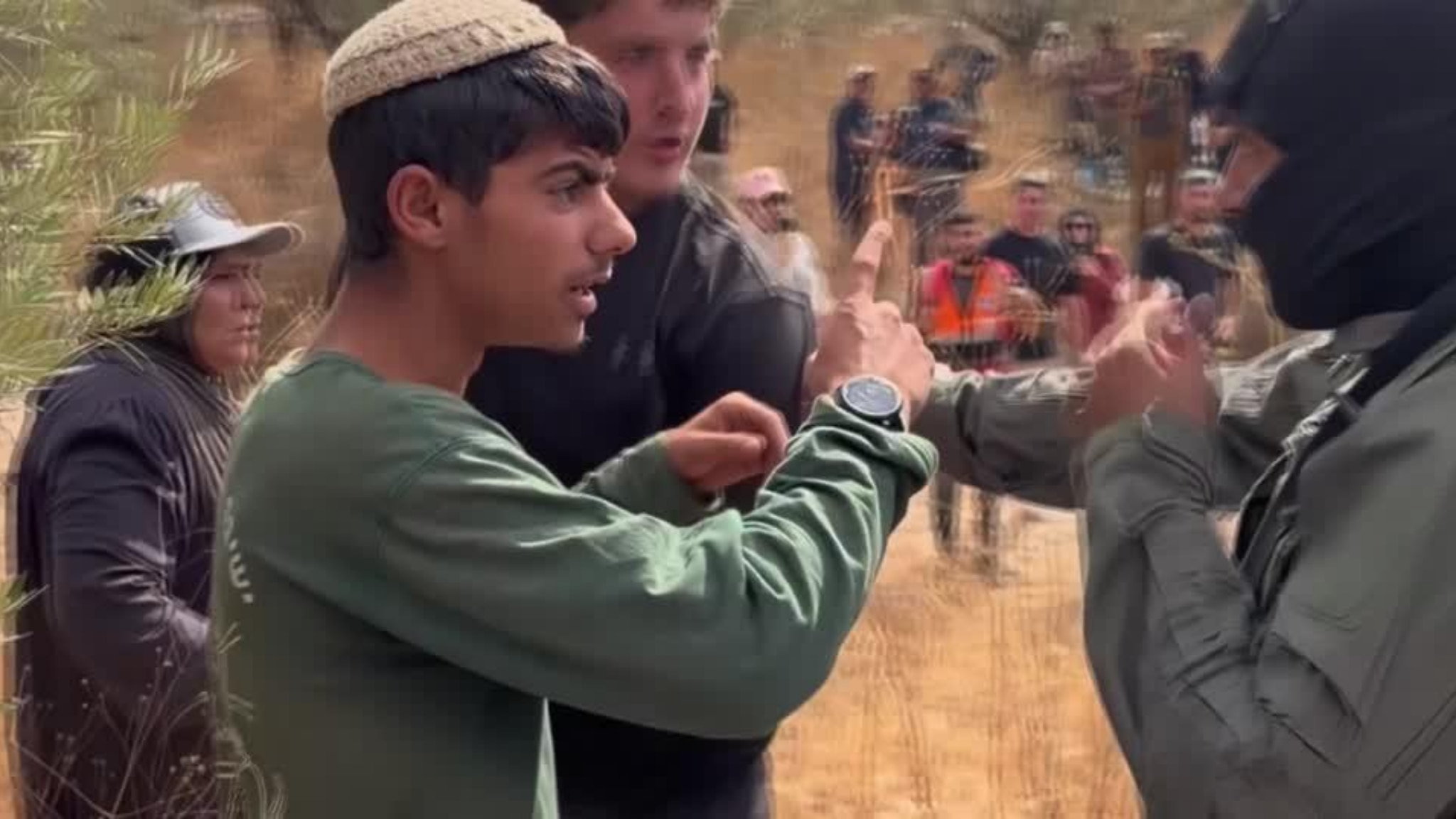 La violenza crescente dei coloni che rubano le olive ai palestinesi