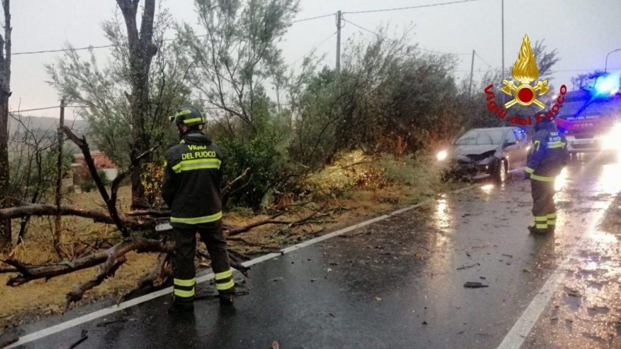 Maltempo nelle Marche, alberi caduti e allagamenti: motociclista grave nel Fanese