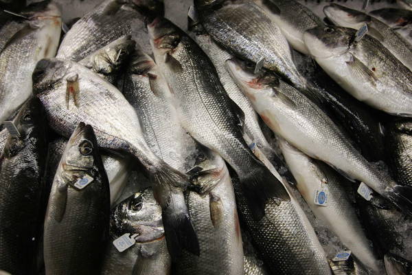 Pesce dell'Adriatico, nei giorni scorsi si sono visti banconi del pesce vuoti nei mercati della riviera romagnola 