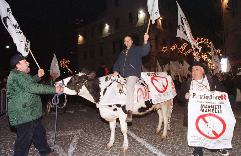 La mucca Ercolina sfila davanti all'Ariston, Sanremo 2000