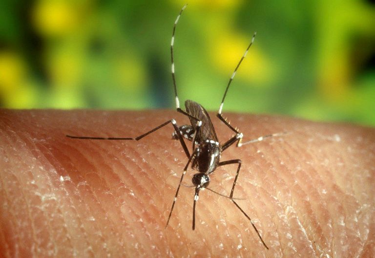 West Nile